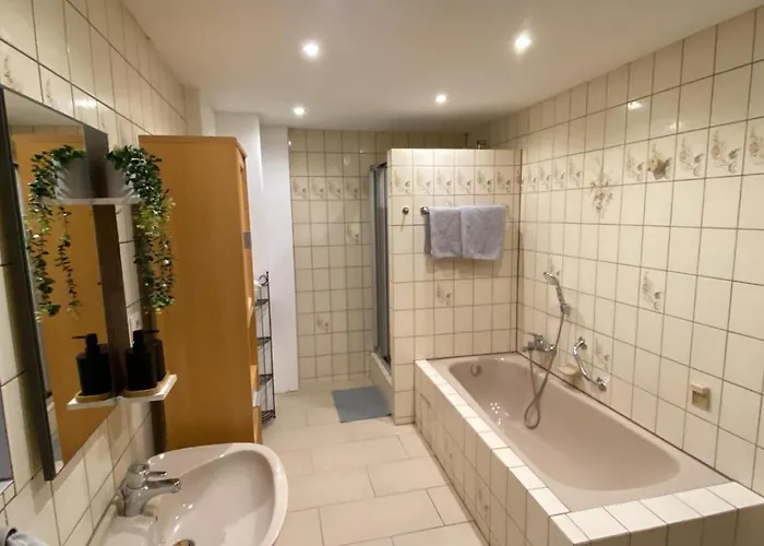 Aloia 公寓 加默廷根